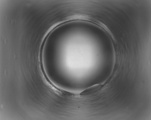 X0000082161339200701191232