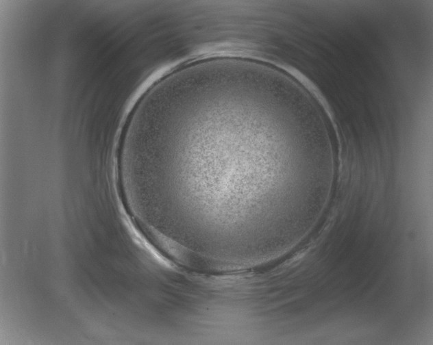 X0000082161341200701191232
