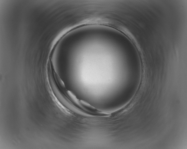 X0000082161344200701191232