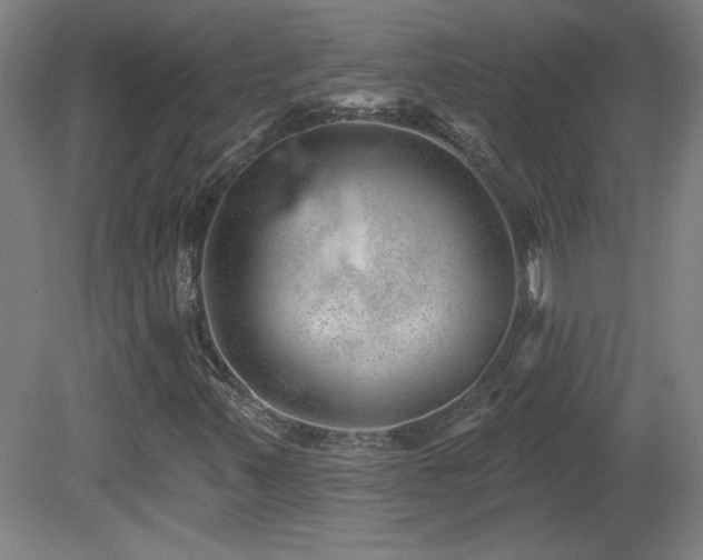 X0000082161347200701191231