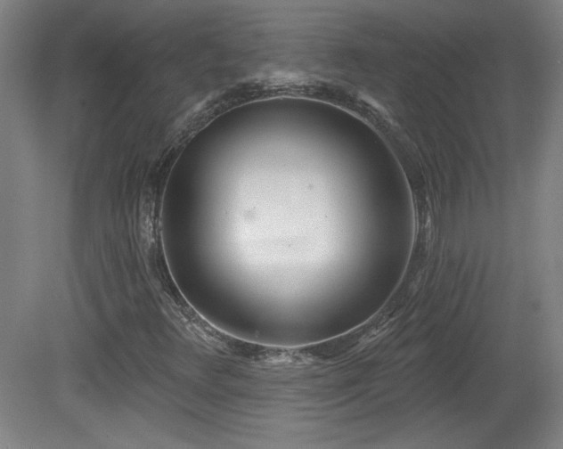 X0000082161348200701191231