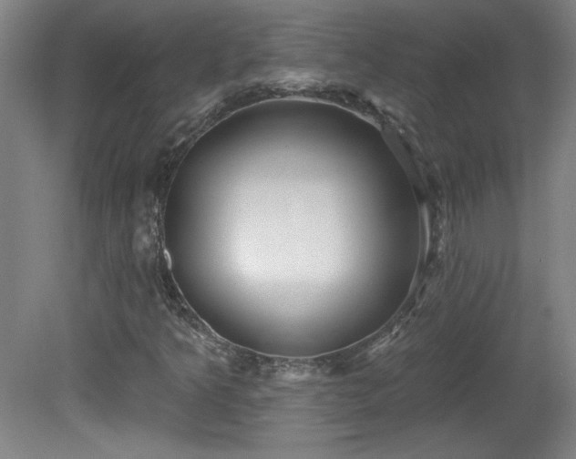 X0000082161349200701191231