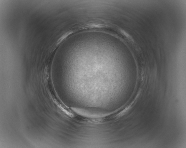 X0000082161353200701191231