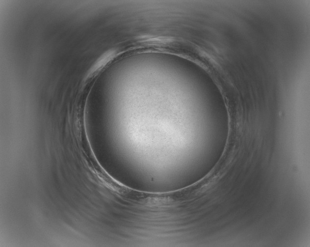 X0000082161354200701191231