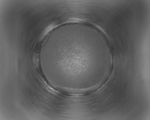 X0000082161355200701191231