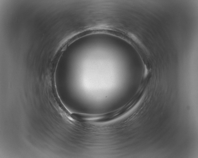 X0000082161356200701191231