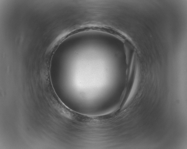 X0000082161359200701191231