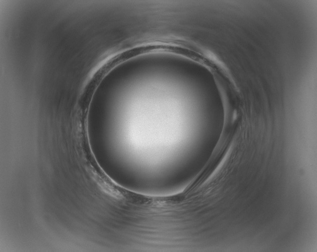 X0000082161360200701191231