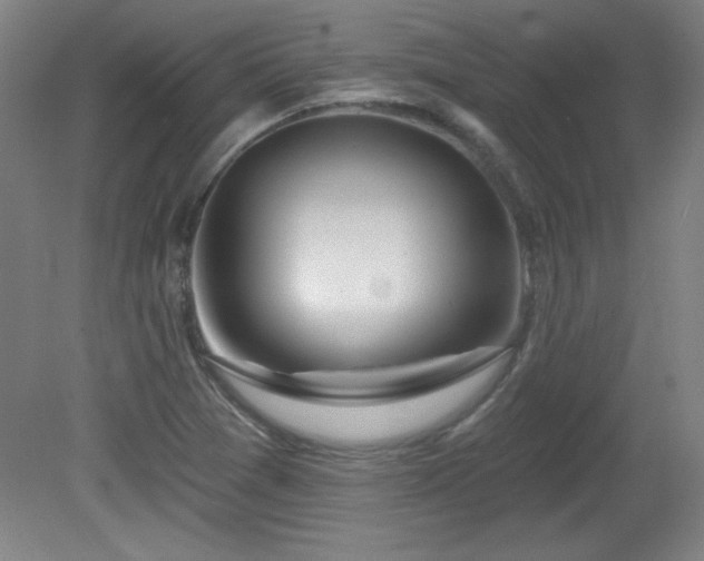 X0000082161361200701191231