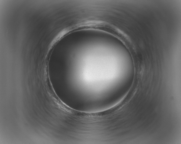 X0000082161362200701191231