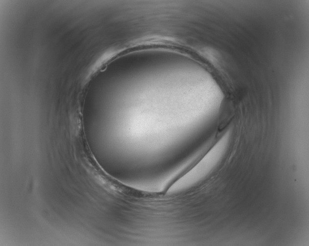 X0000082161363200701191231