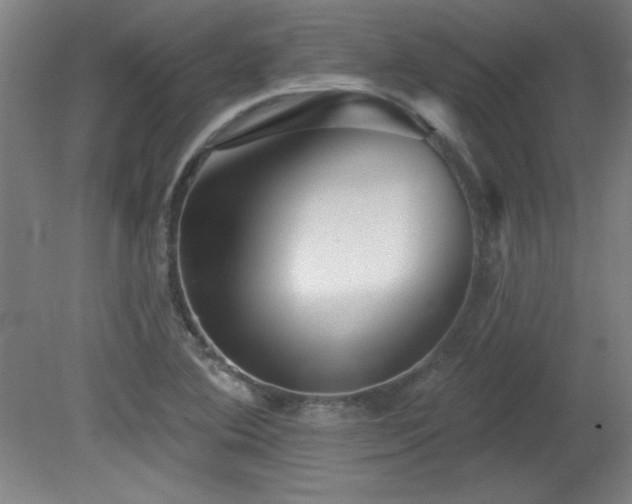 X0000082161364200701191231