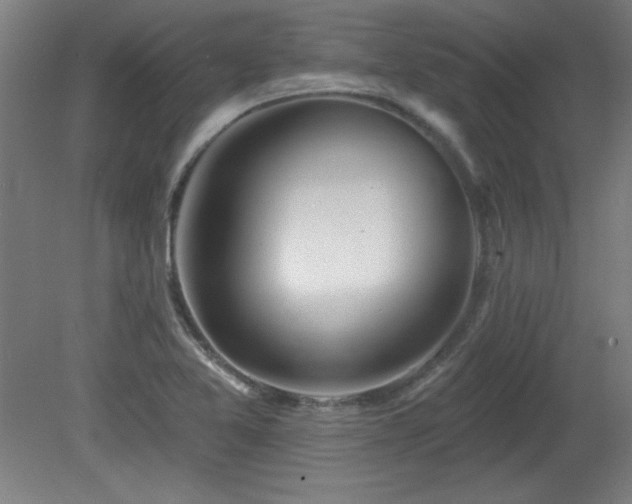 X0000082161365200701191231