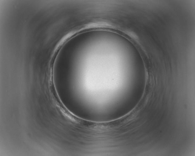 X0000082161366200701191230