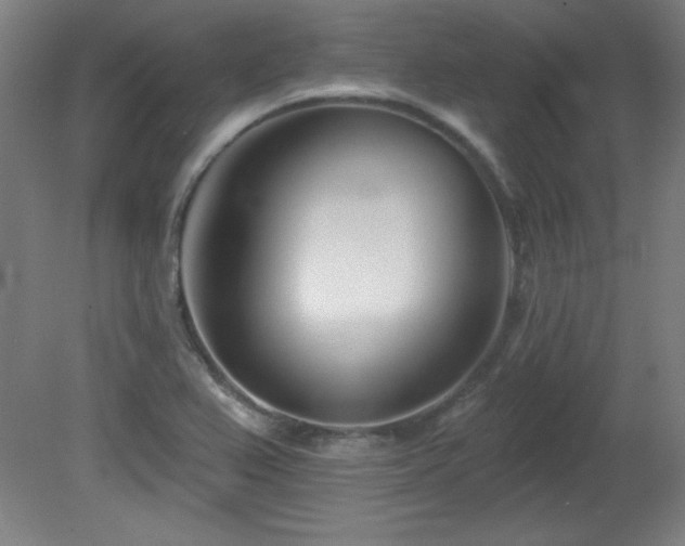 X0000082161367200701191230