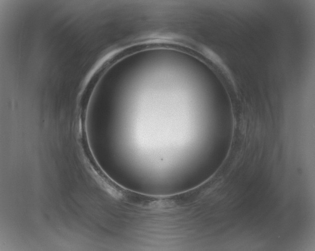 X0000082161368200701191230