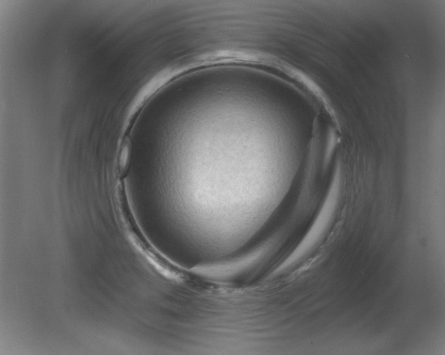 X0000082161373200701191230