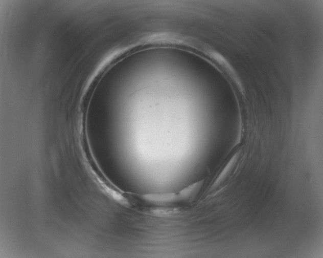 X0000082161376200701191230