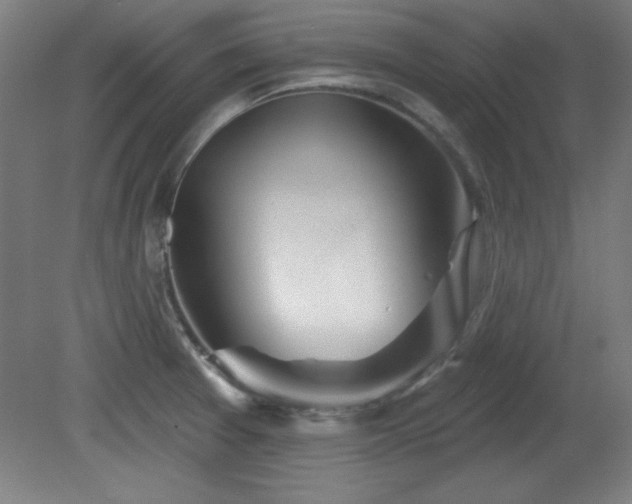 X0000082161377200701191230