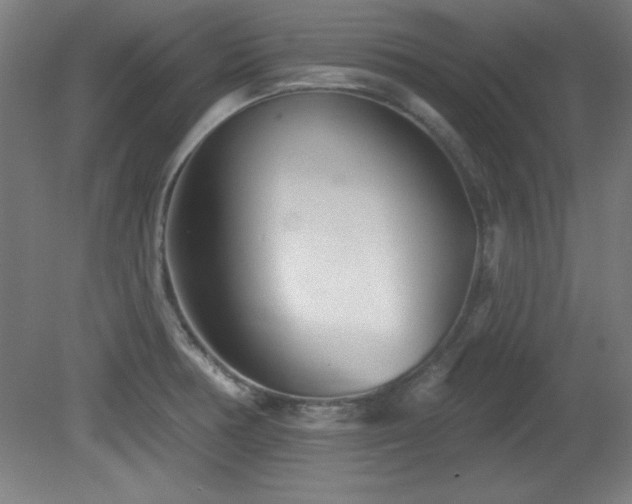 X0000082161378200701191230