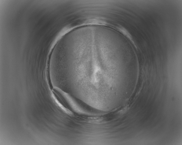 X0000082161379200701191230