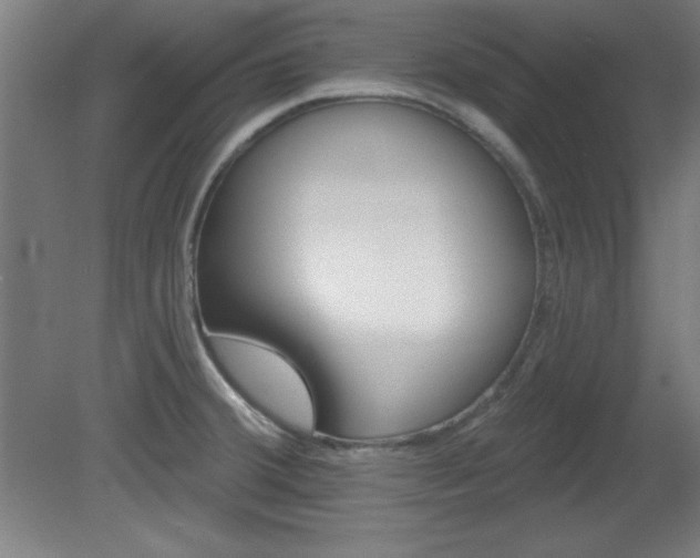 X0000082161380200701191230