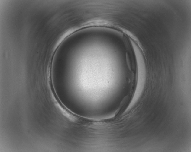 X0000082161383200701191230