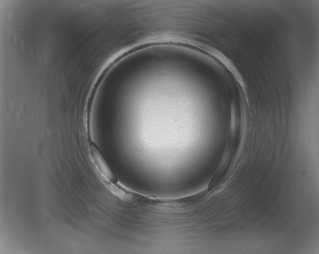 X0000082161388200701191230