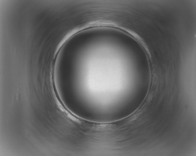 X0000082161390200701191230