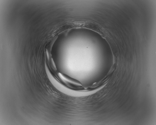 X0000082161394200701191229
