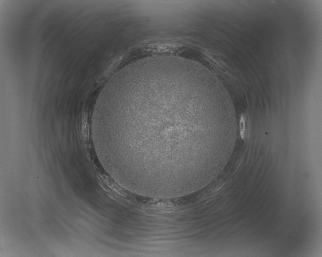 X0000082161395200701191229