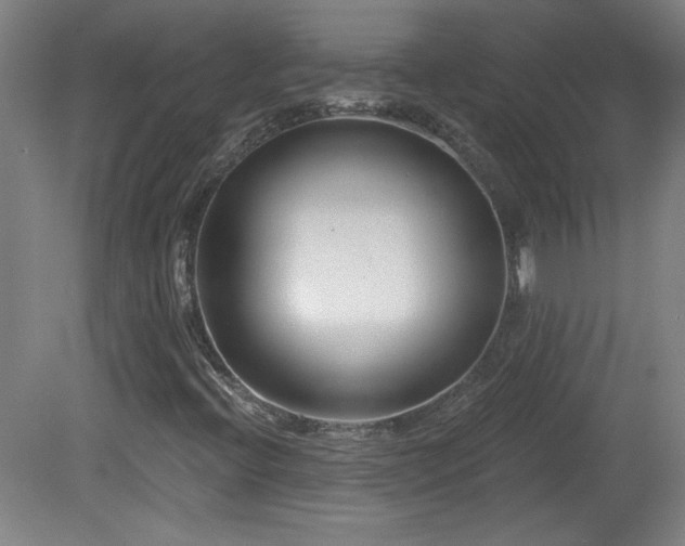 X0000082161396200701191229