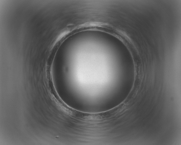 X0000082161404200701191229