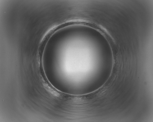 X0000082161408200701191229