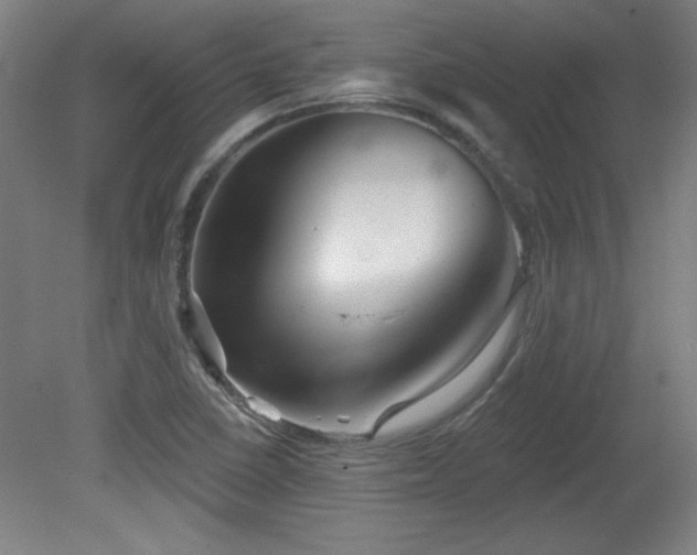 X0000082161410200701191230