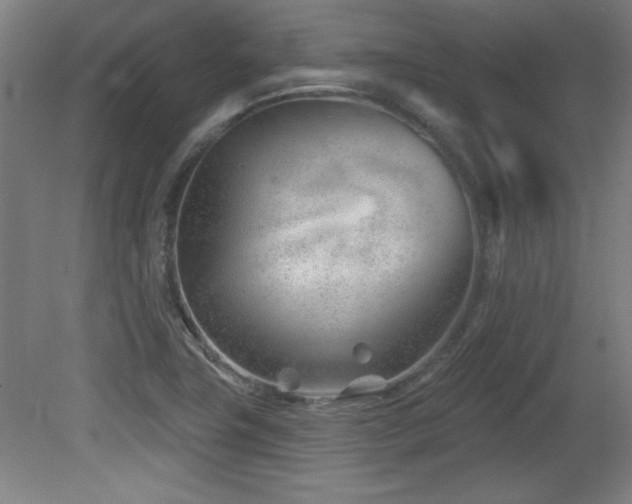 X0000082161411200701191230