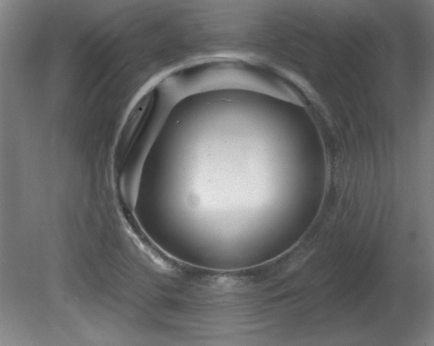 X0000082161412200701191230