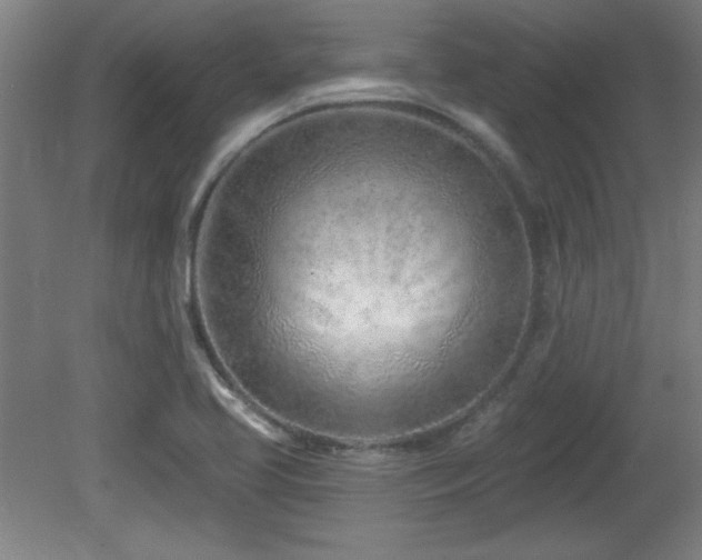 X0000082161413200701191230