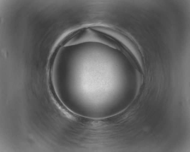X0000082161416200701191230