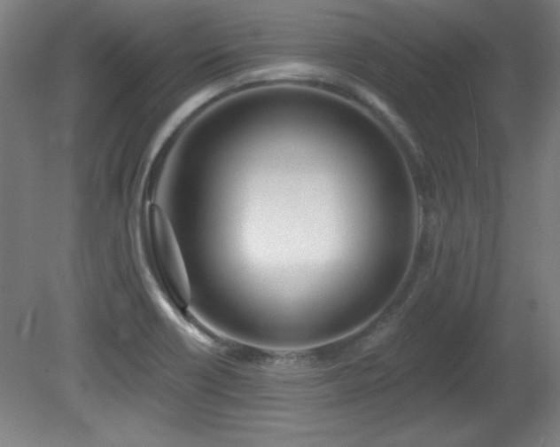 X0000082161418200701191230