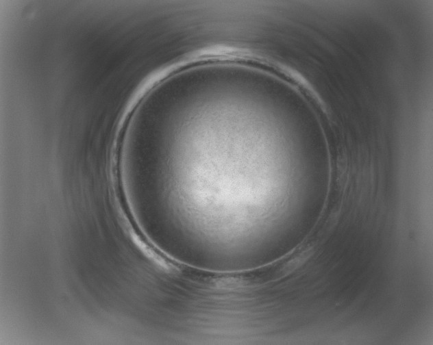 X0000082161421200701191230