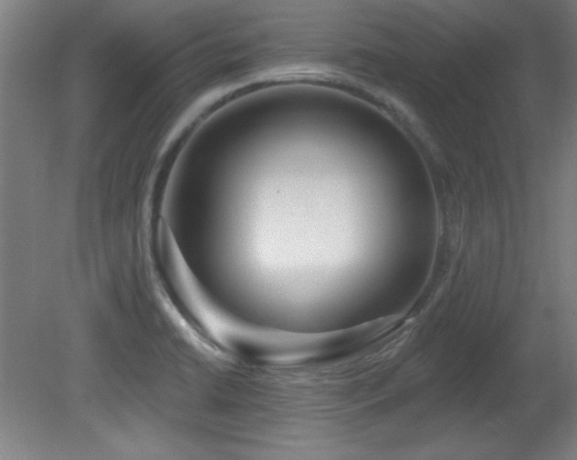 X0000082161422200701191230