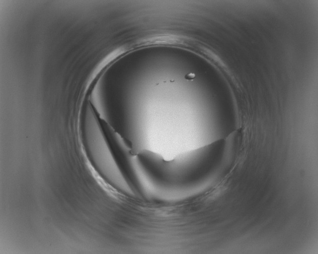 X0000082161426200701191230