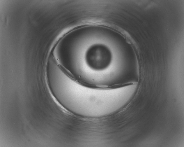 X0000082161432200701191230