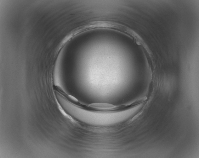 X0000082161433200701191230
