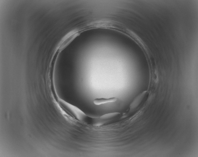 X0000082161434200701191230