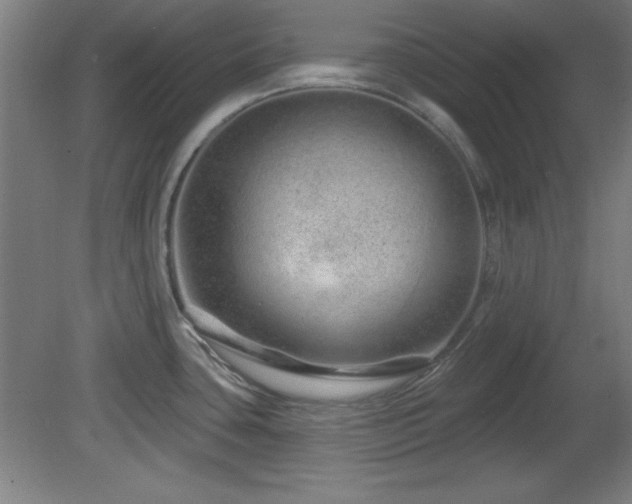 X0000082161435200701191230