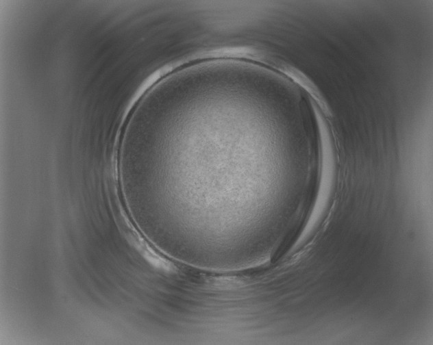 X0000082161436200701191230