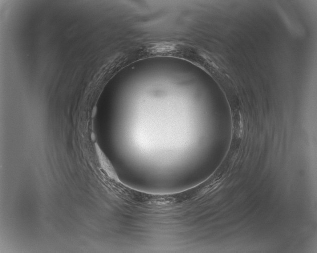 X0000082161441200701191229