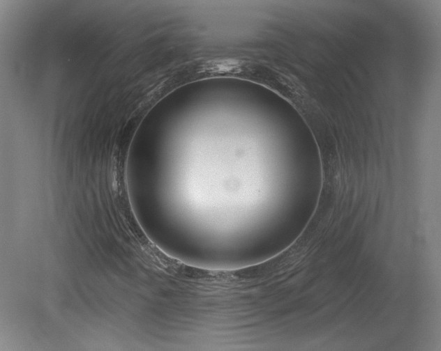 X0000082161442200701191229